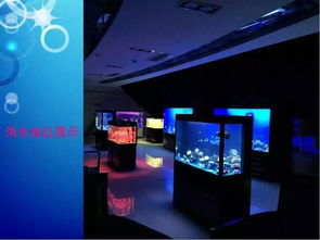 恐龍租賃與海獅表演 一線展覽服務的新趨勢